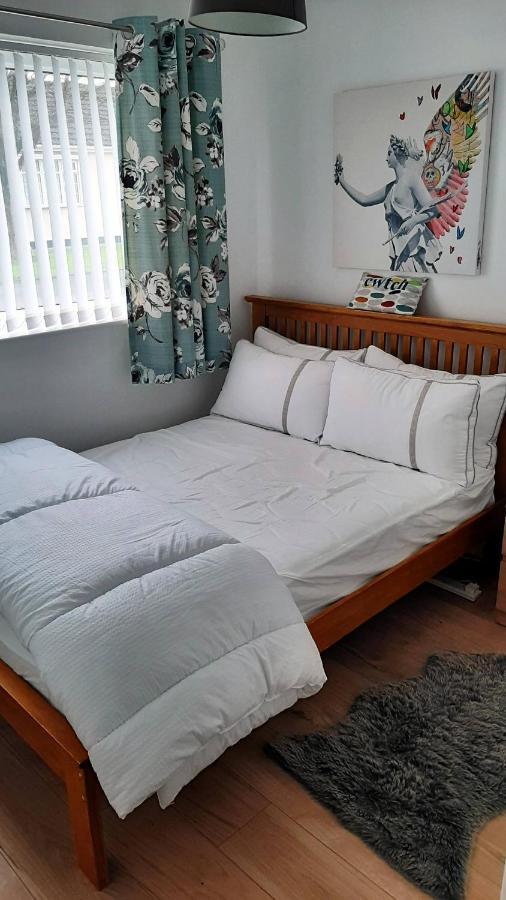 2 Bedroom To Yourself, Free Parking, Dogs Welcome Appartement Swansea